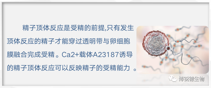 开云体云app官网入口