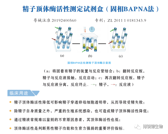 开云体云app官网入口