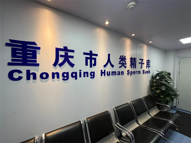 开云体云app官网入口