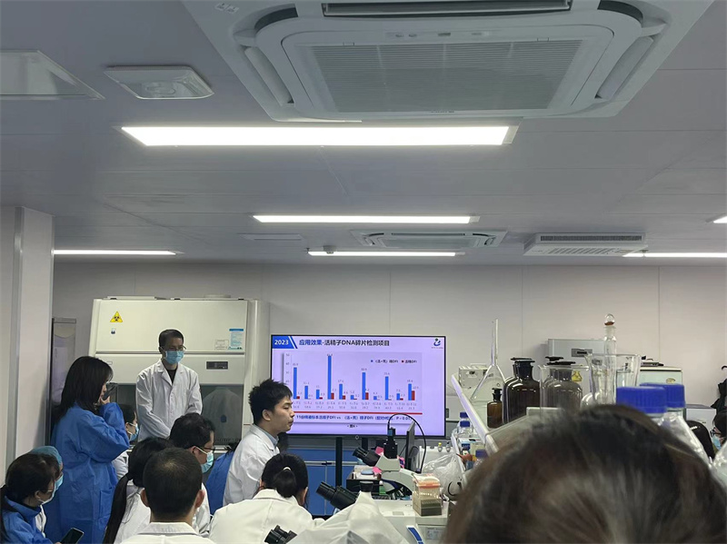 开云体云app官网入口