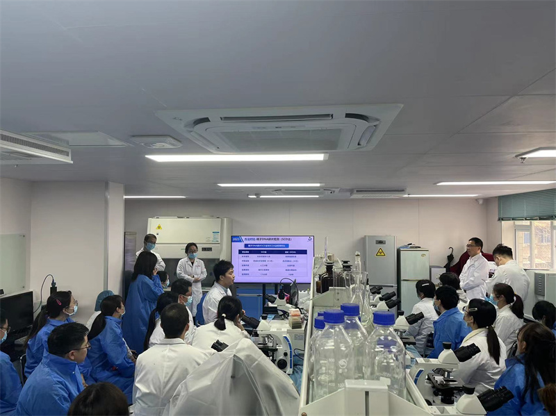 开云体云app官网入口