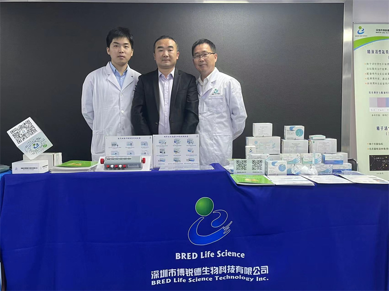 开云体云app官网入口