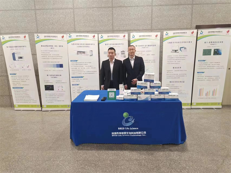 开云体云app官网入口