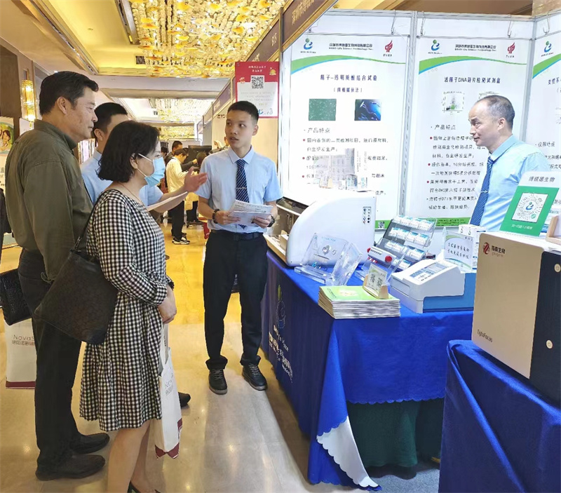 开云体云app官网入口