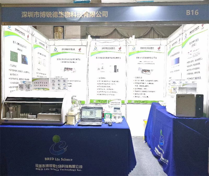 开云体云app官网入口