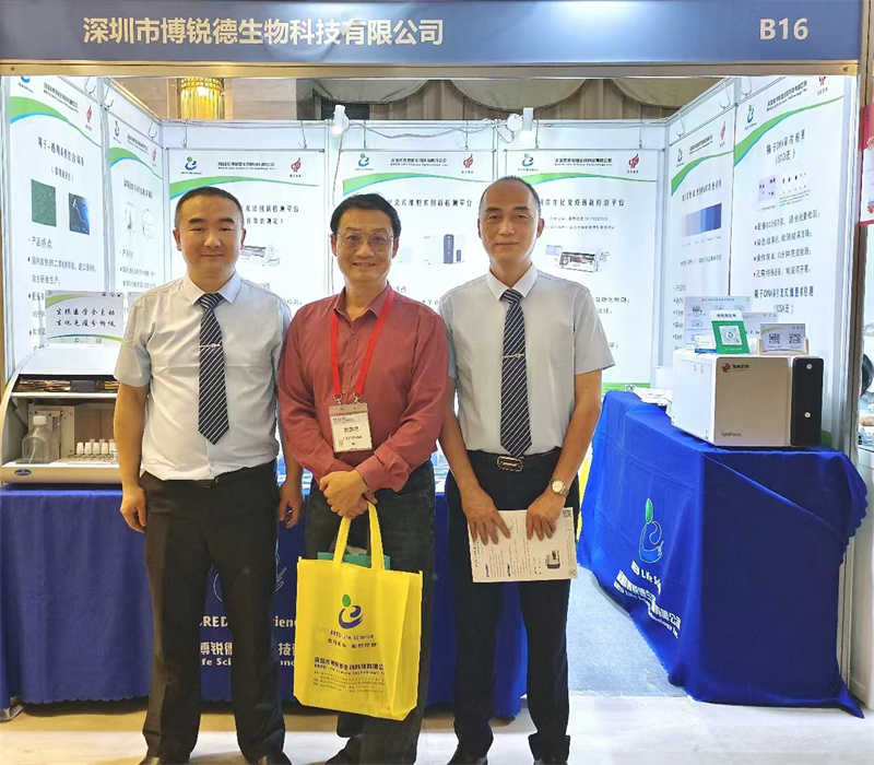 开云体云app官网入口