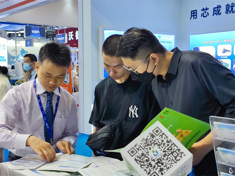 开云体云app官网入口