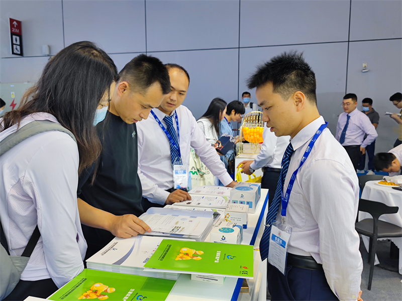 开云体云app官网入口