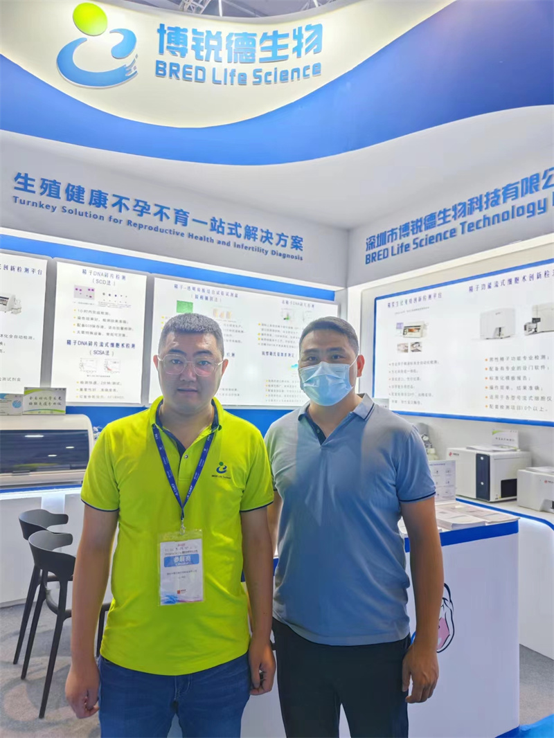 开云体云app官网入口