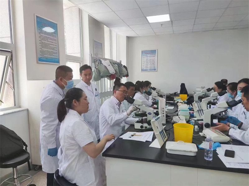 开云体云app官网入口