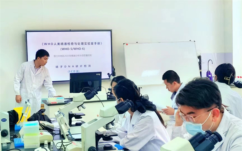 开云体云app官网入口