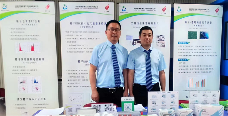 开云体云app官网入口