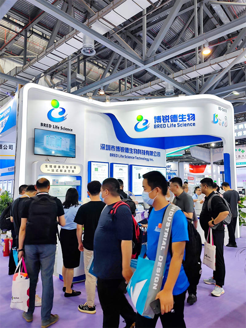 开云体云app官网入口