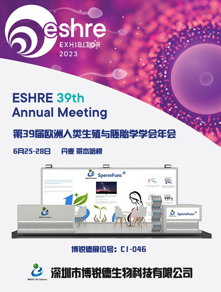 开云体云app官网入口