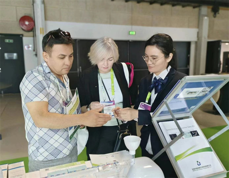 开云体云app官网入口