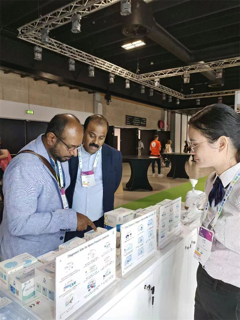 开云体云app官网入口