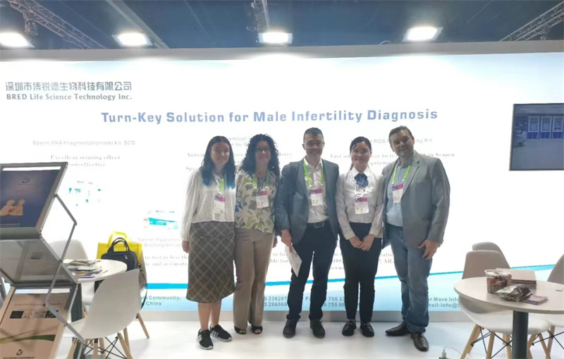 开云体云app官网入口