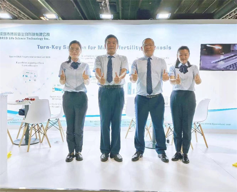 开云体云app官网入口