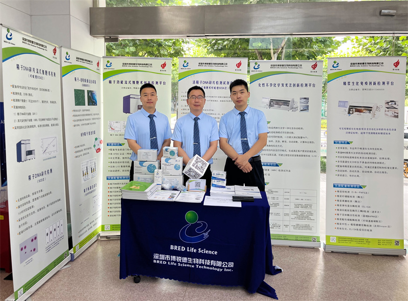 开云体云app官网入口