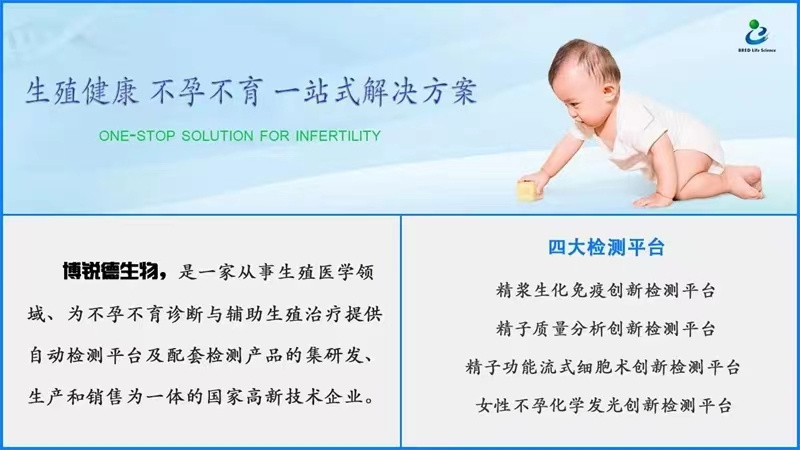 开云体云app官网入口