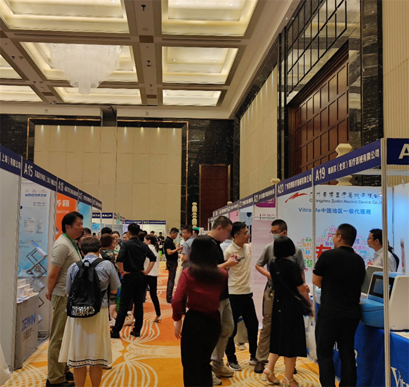 开云体云app官网入口