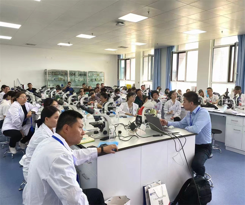 开云体云app官网入口