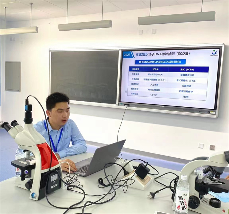 开云体云app官网入口