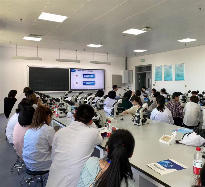 开云体云app官网入口