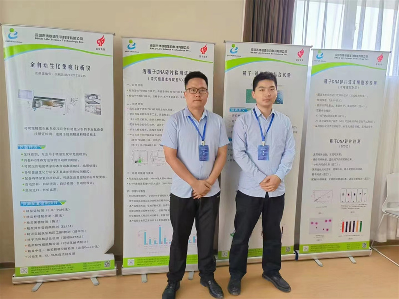 开云体云app官网入口