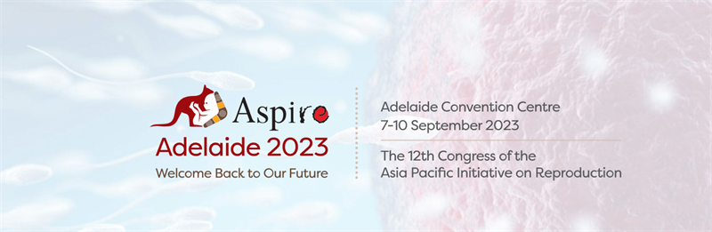 开云体云app官网入口