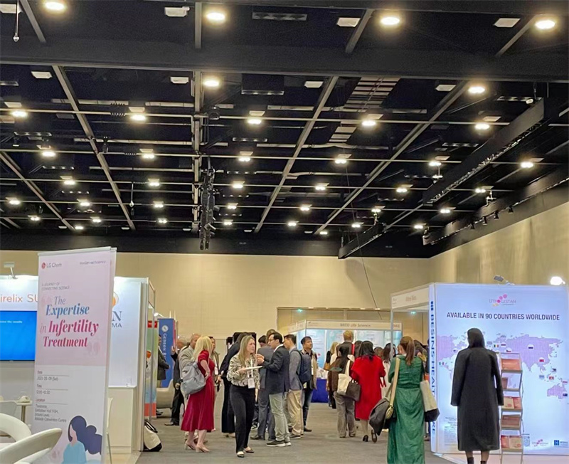 开云体云app官网入口