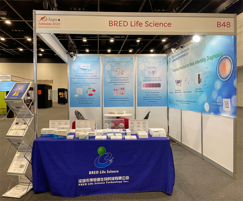 开云体云app官网入口