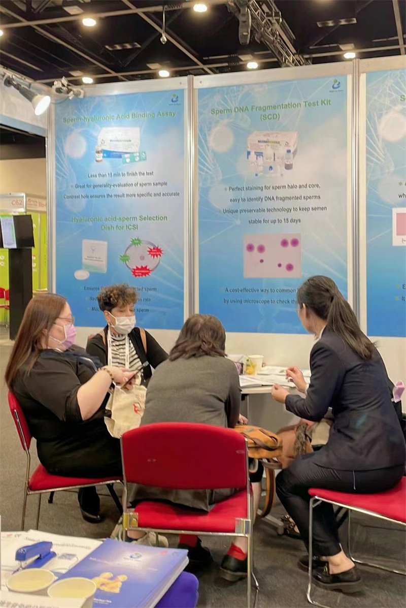 开云体云app官网入口