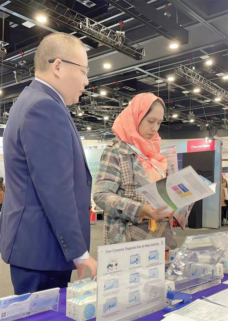 开云体云app官网入口