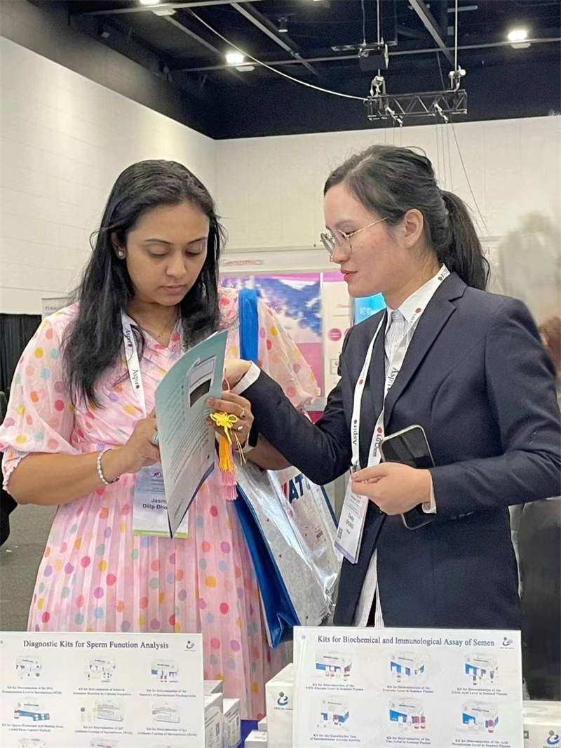 开云体云app官网入口