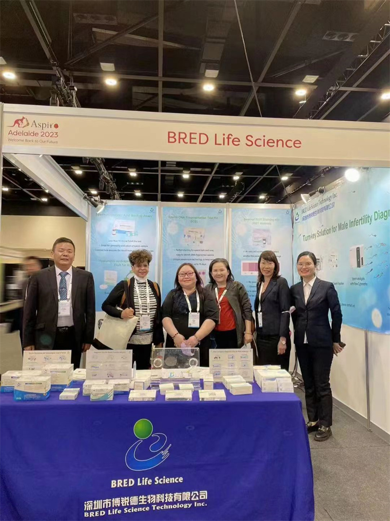 开云体云app官网入口