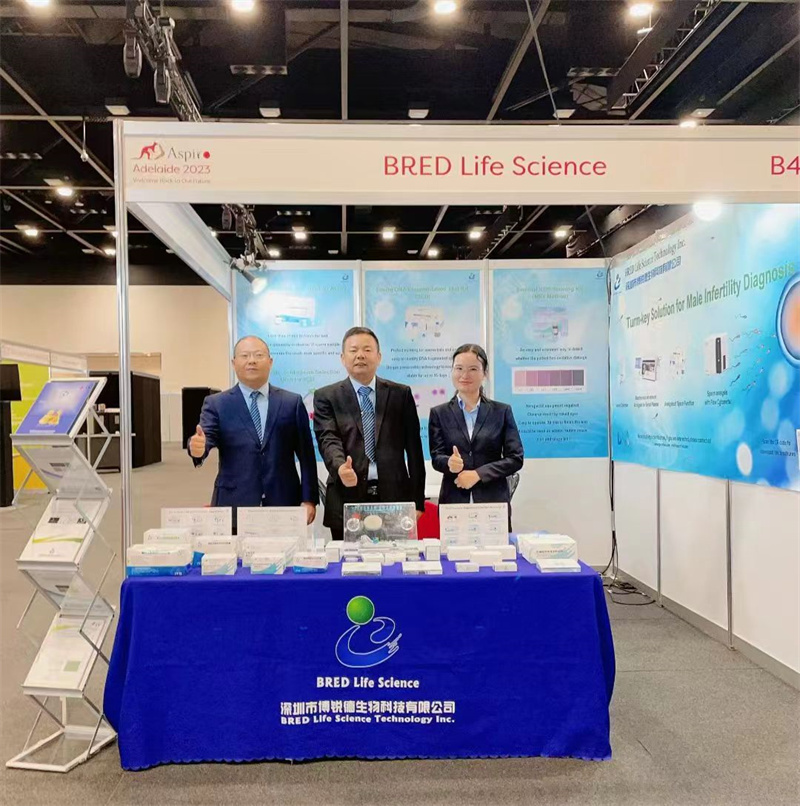 开云体云app官网入口