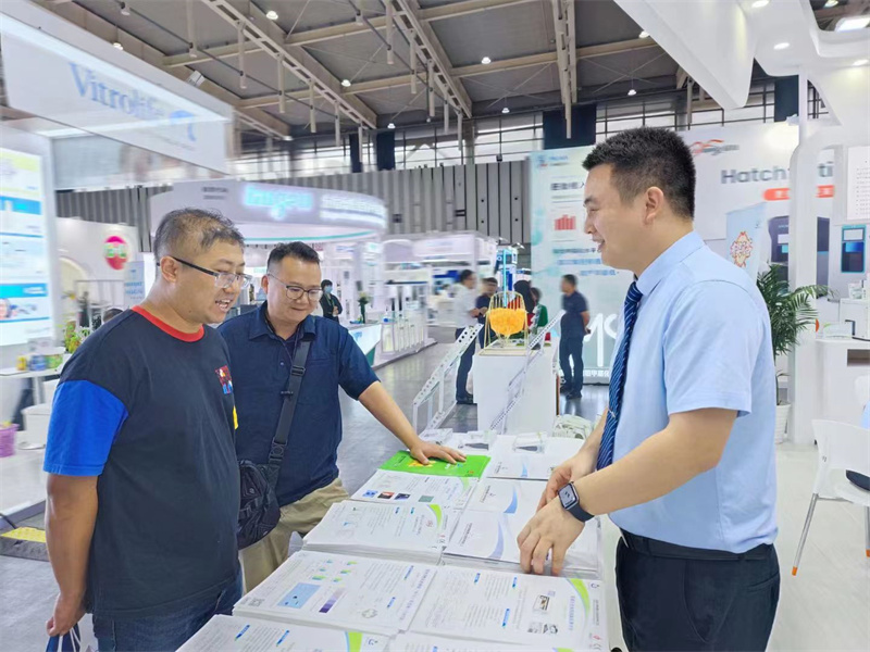 开云体云app官网入口