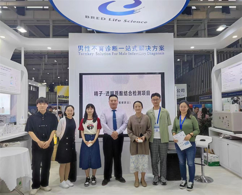 开云体云app官网入口