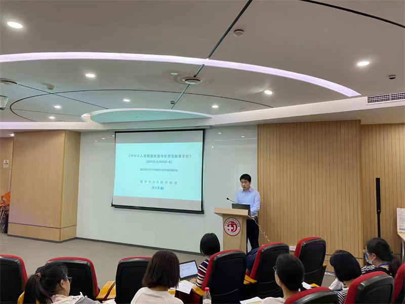 开云体云app官网入口