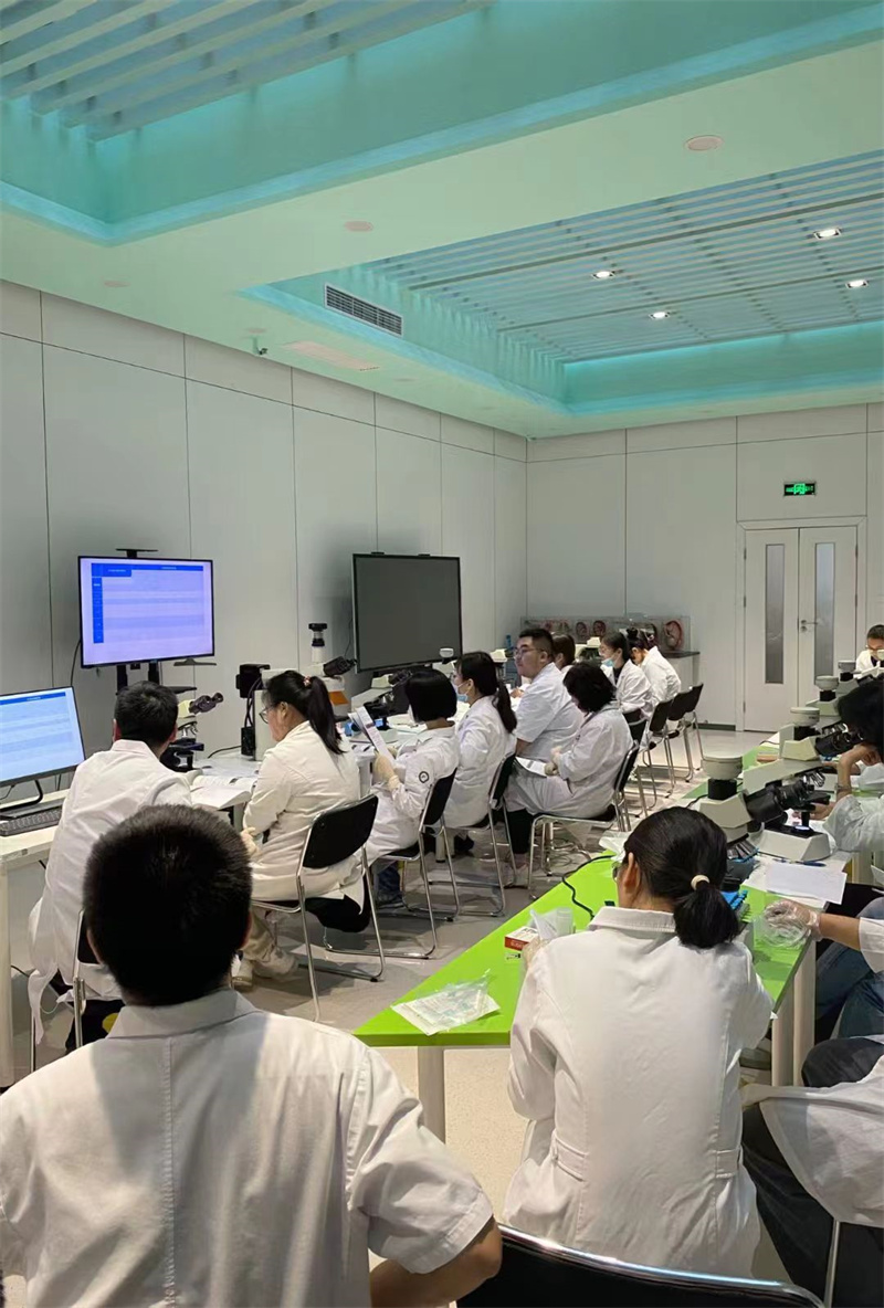 开云体云app官网入口