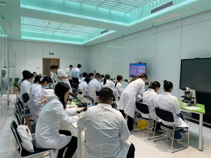 开云体云app官网入口