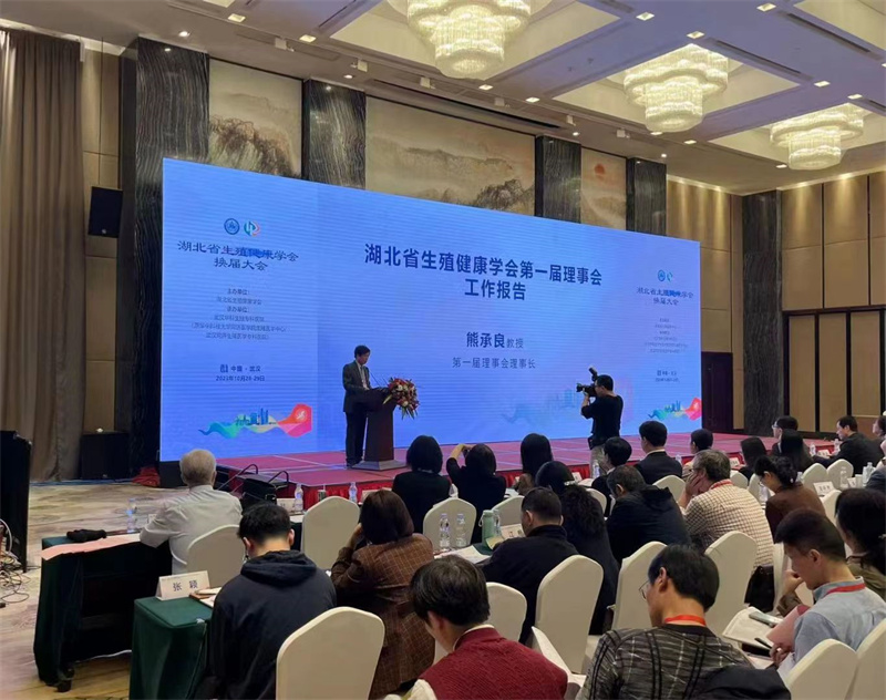 开云体云app官网入口