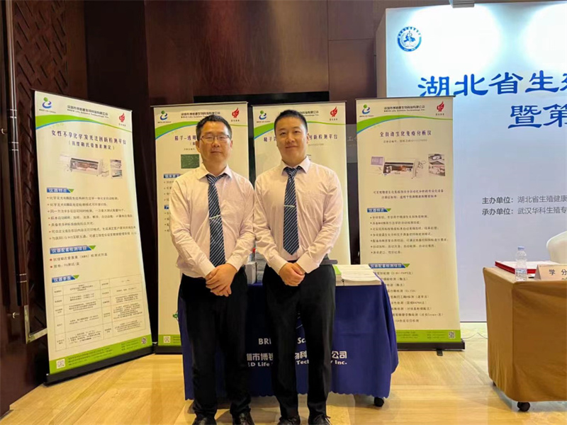 开云体云app官网入口