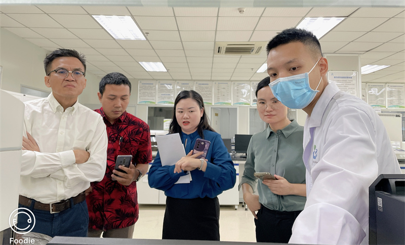 开云体云app官网入口