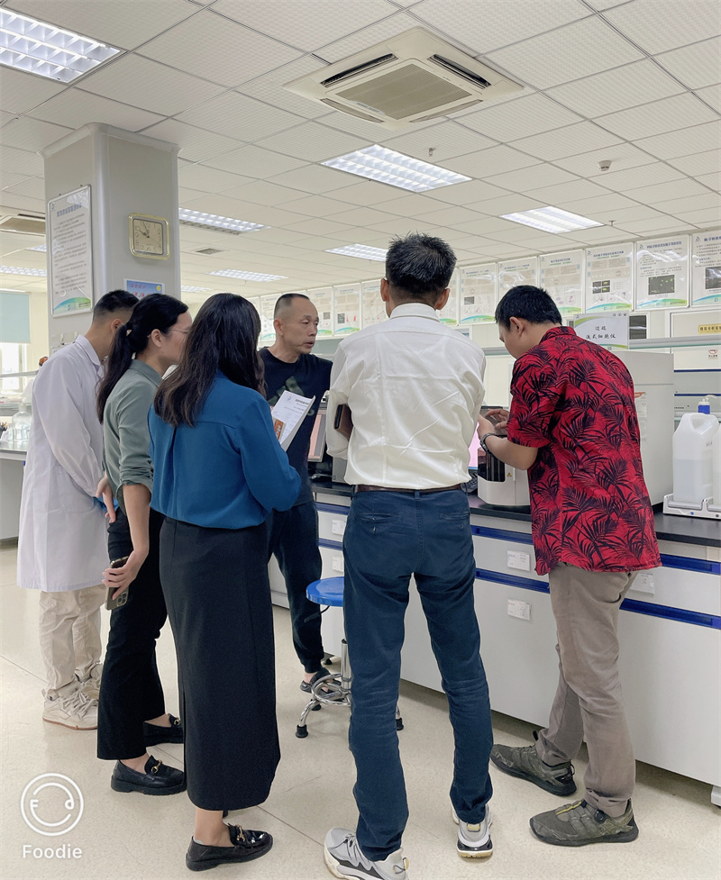 开云体云app官网入口