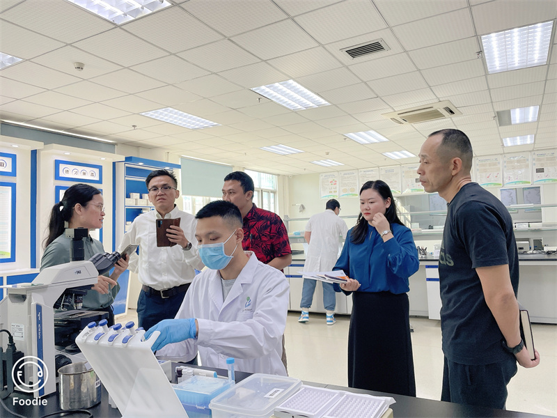 开云体云app官网入口