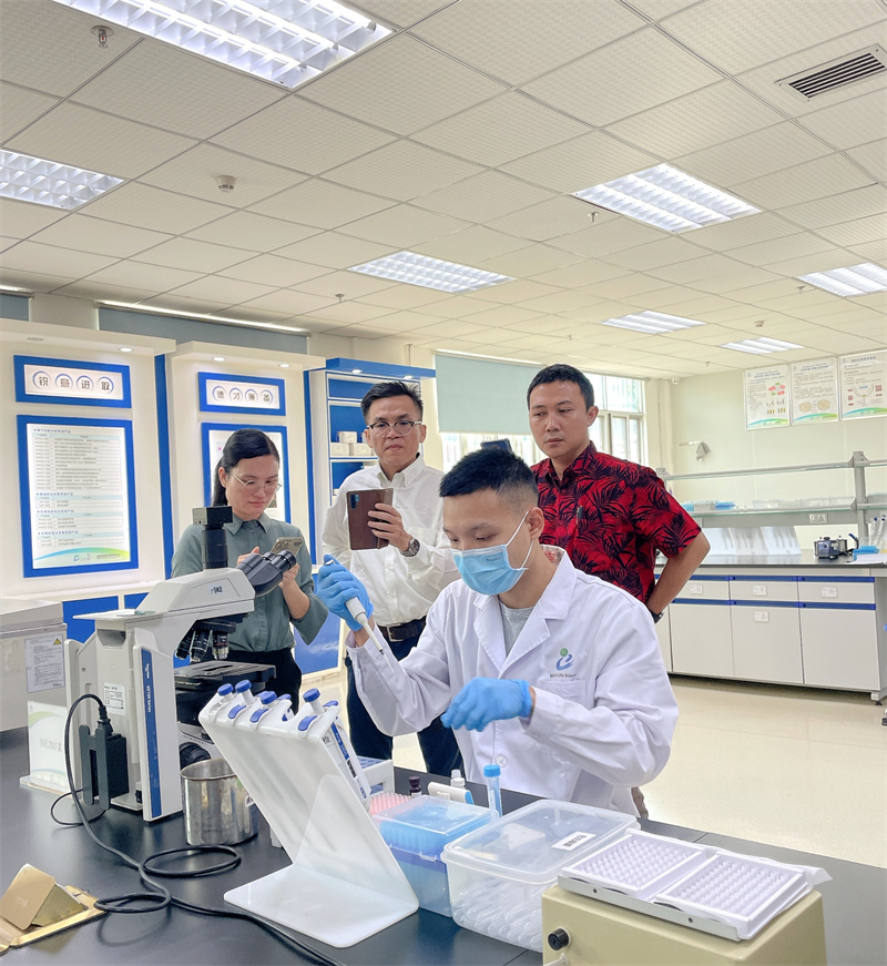 开云体云app官网入口