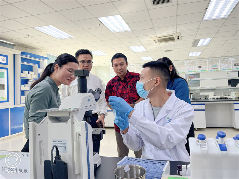 开云体云app官网入口