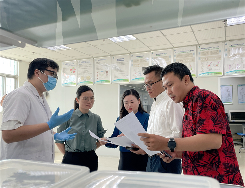 开云体云app官网入口